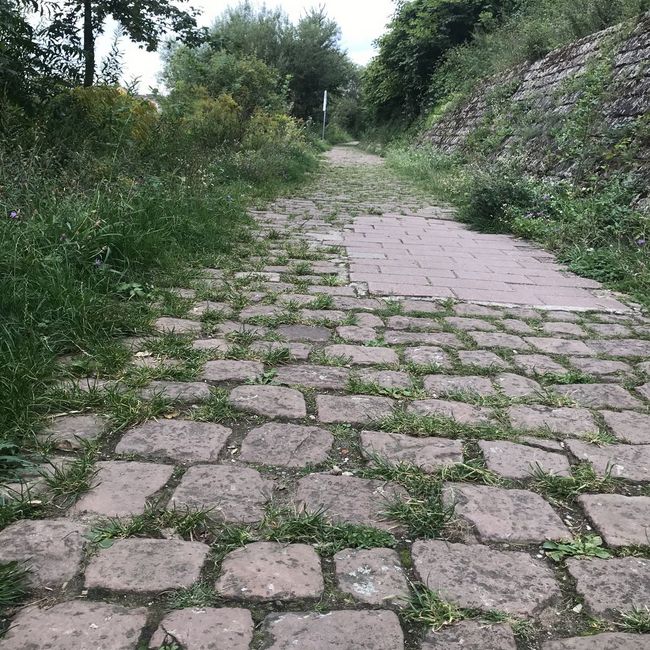 Fotos vom Neckarlauf