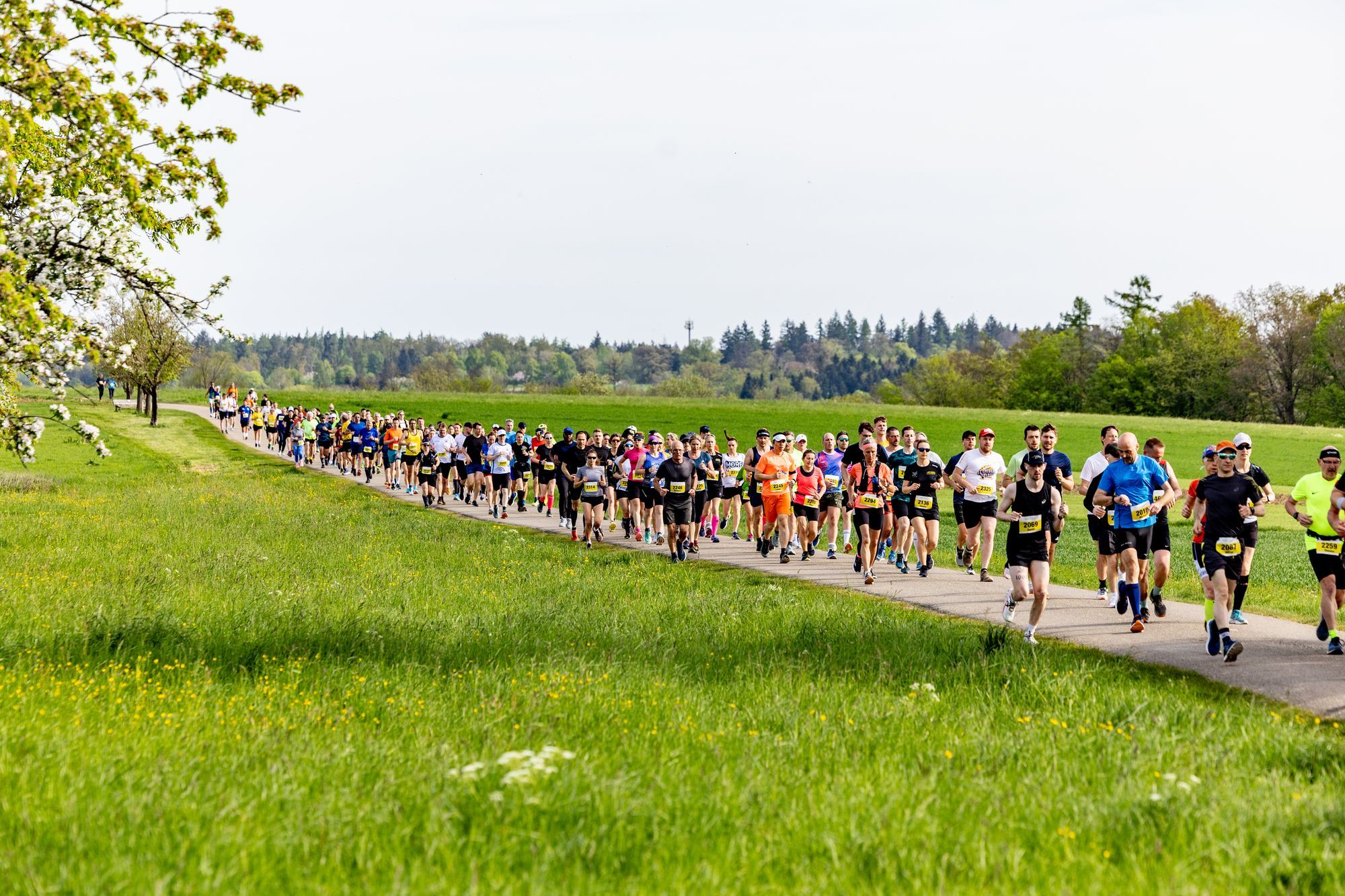 Event Impressionen von BeLa-Sportfoto.de Teil 1