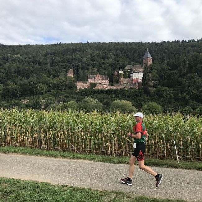 Fotos vom Neckarlauf