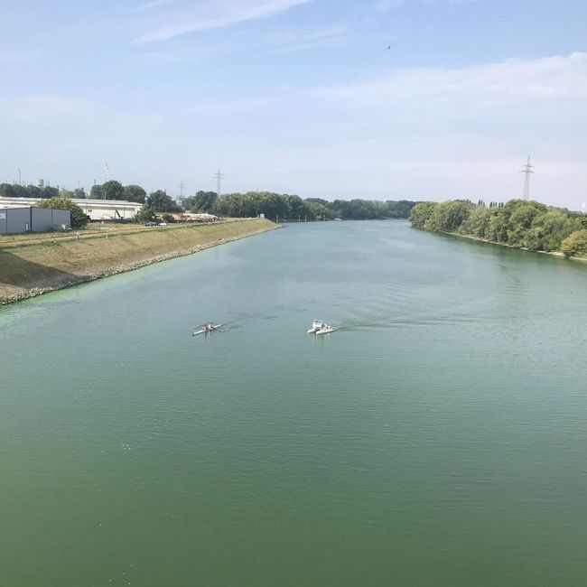 Fotos vom Neckarlauf