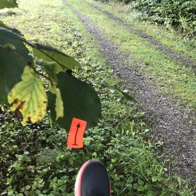 Fotos vom Neckarlauf