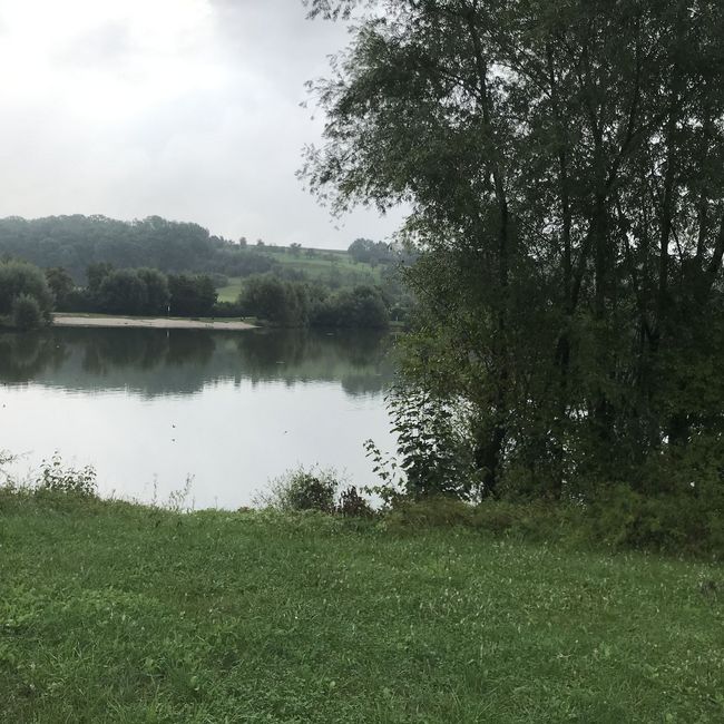 Fotos vom Neckarlauf