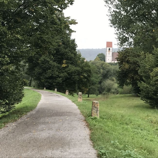 Fotos vom Neckarlauf