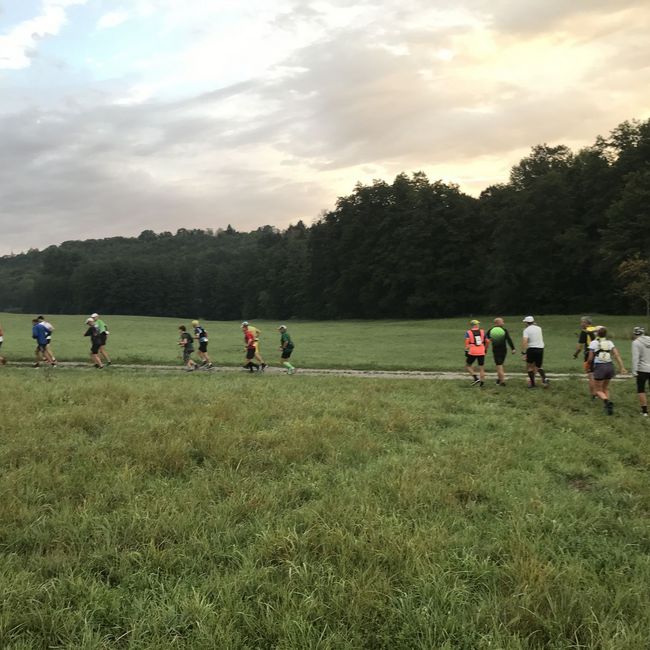 Fotos vom Neckarlauf