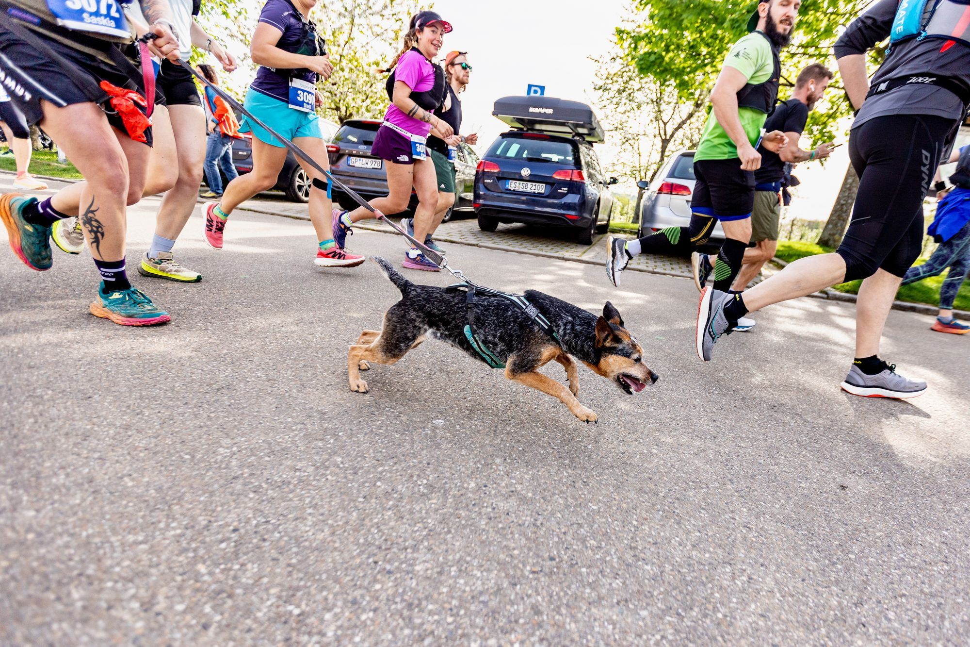 Event Impressionen von BeLa-Sportfoto.de Teil 1