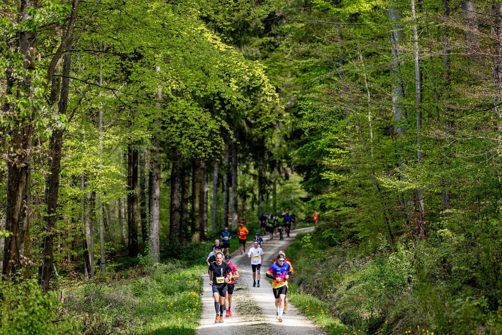 Event Impressionen von BeLa-Sportfoto.de Teil 1