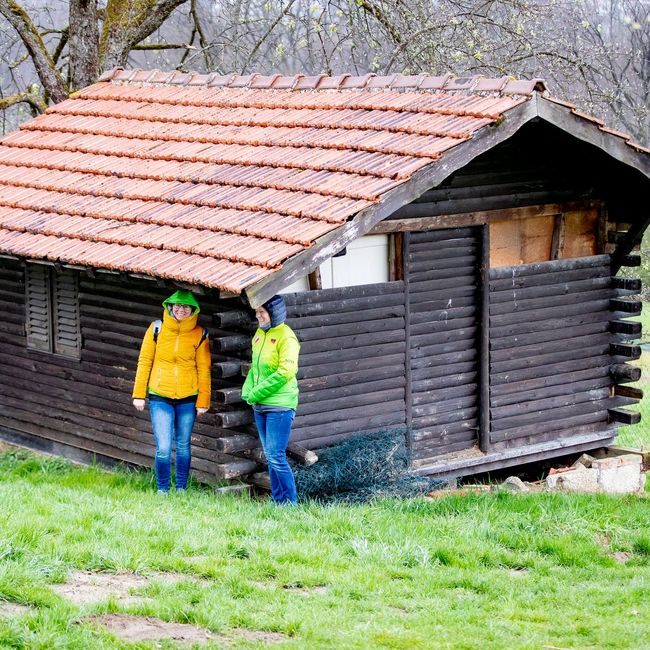 Bildergalerie von BeLa-Sportfoto Teil 3