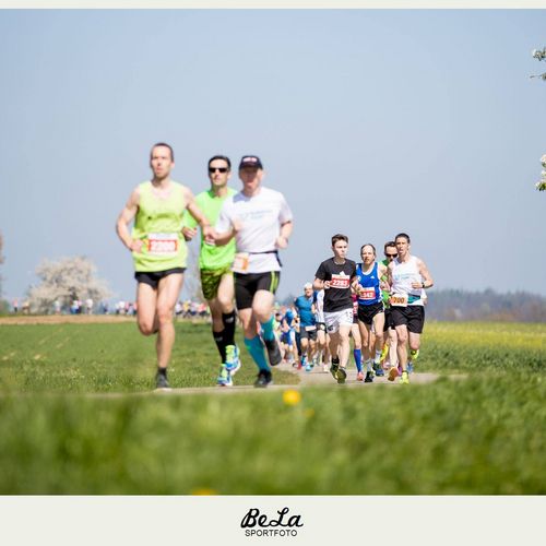 Liwa Lauf 2017