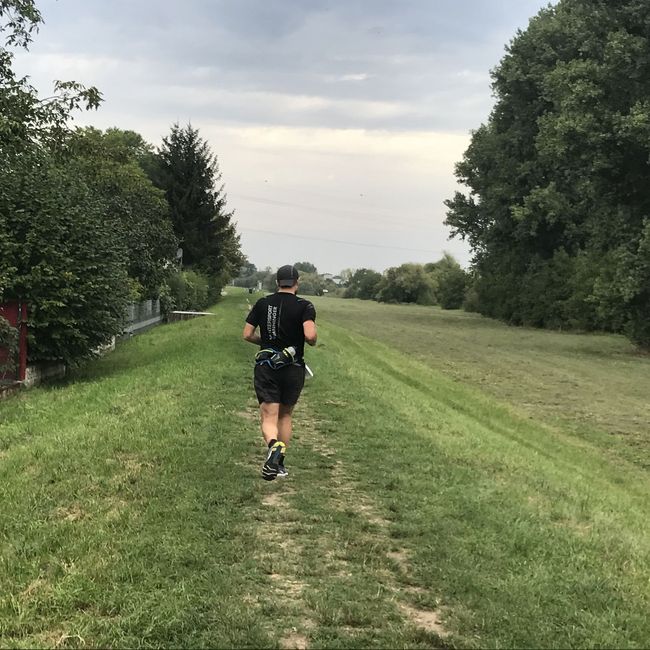 Fotos vom Neckarlauf