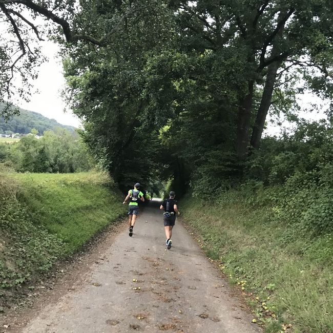 Fotos vom Neckarlauf