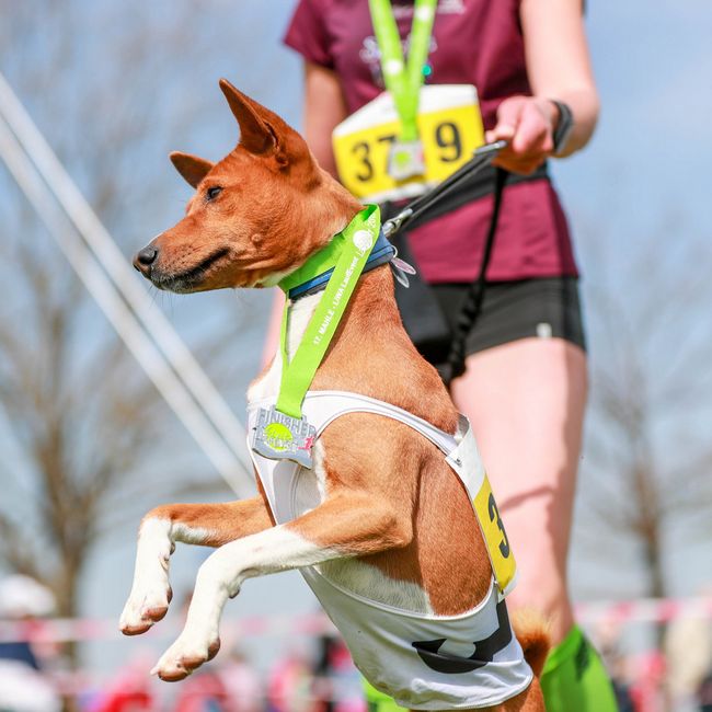 Fotos von BeLa-Sportfoto