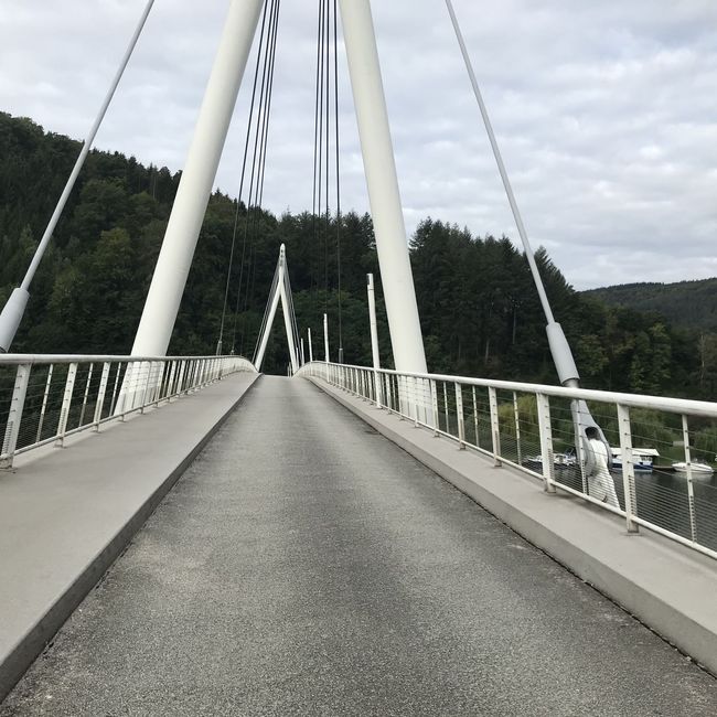 Fotos vom Neckarlauf